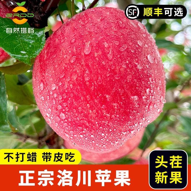 正宗陕西洛川苹果新鲜当季水果整箱10斤延安红富士平果脆甜一级