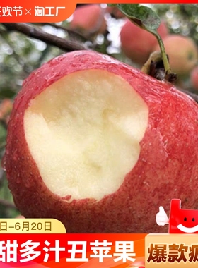 脆甜红富士苹果时令水果产地批发冰糖心丑苹果多汁上门自然果园