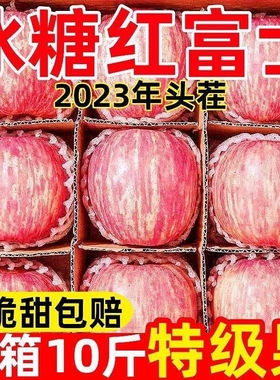 山东烟台红富士10斤苹果水果新鲜整箱包邮应当季冰糖心栖霞平果5