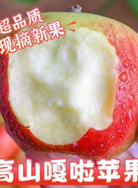 苹果嘎啦5/3斤脆甜非红富士现摘当季新鲜水果不打蜡整箱水果包邮