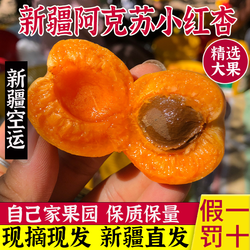 新疆小红杏新鲜阿克苏杏子新鲜水果当季精品甜杏空运包邮
