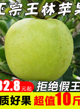 现摘正宗王林青苹果水果新鲜当季整箱5斤脆甜非新疆王林10丑苹果