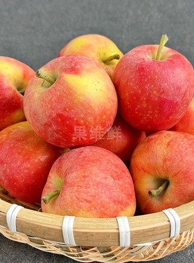 新疆阿克苏嘎啦苹果 3斤 当季新鲜水果国产加力果 高甜沙脆