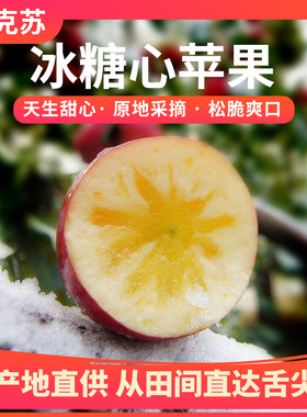 阿克苏红旗坡冰糖心苹果产地直发富士苹果丑苹果应季水果