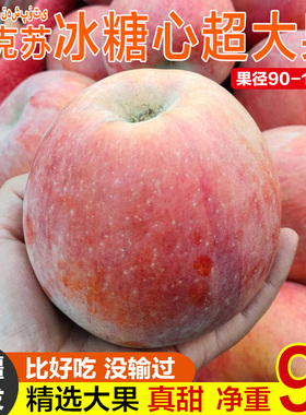 现货正宗新疆阿克苏冰糖心苹果新鲜水果红旗坡大果丑苹果整箱10斤