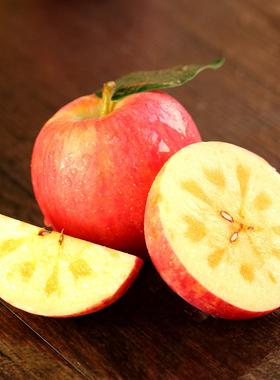 新疆阿克苏冰糖心苹果特级大果果园现摘直发新鲜水果顺丰空运9斤
