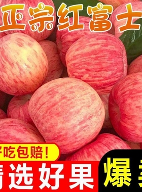 【精品特卖】正宗新疆红富士苹果新鲜当季整箱精选特级巨甜水果