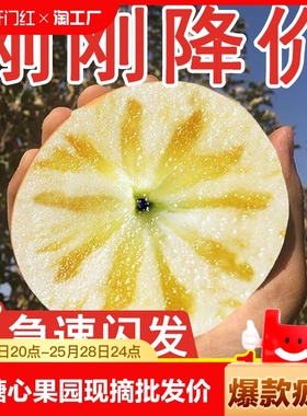 新疆阿克苏冰糖心苹果5/10斤红富士丑苹果当季新鲜水果整箱包邮