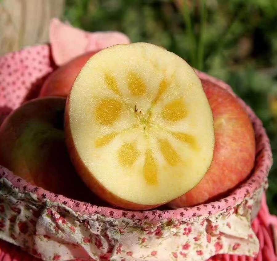 新疆阿克苏冰糖心苹果礼盒特级苹果水果新鲜当季整箱8斤顺丰包邮
