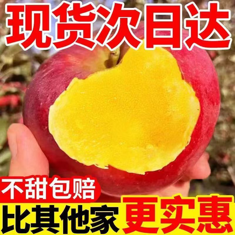【精品】正宗新疆阿克苏冰糖心苹果水果新鲜脆甜5斤红富士苹果