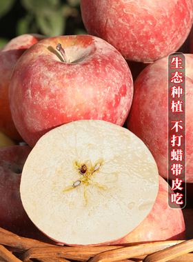 正宗新疆阿克苏苹果水果新鲜整箱当季10斤脆甜红富士冰糖心丑苹果
