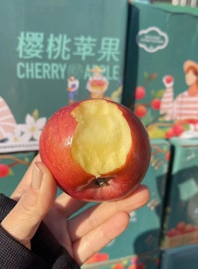新疆百果汇樱桃苹果新鲜水果冰糖心小苹果5斤礼盒脆甜北京发货