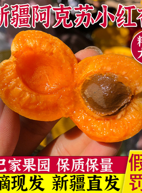 新疆小红杏新鲜阿克苏杏子水果新鲜水果当季甜杏子空运包邮