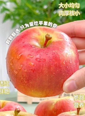 新疆阿克苏樱桃苹果5.8-6斤12枚或5斤9枚礼盒装随机发货新鲜水果