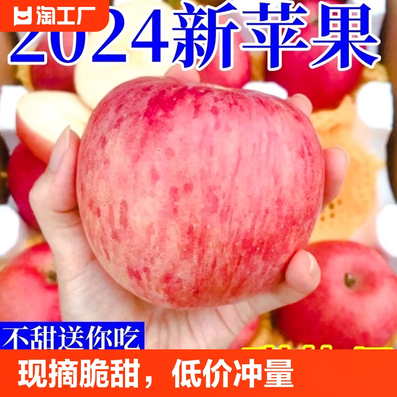冲量2024年新疆红富士苹果新鲜现摘脆甜整箱水果批发一级自然黄金