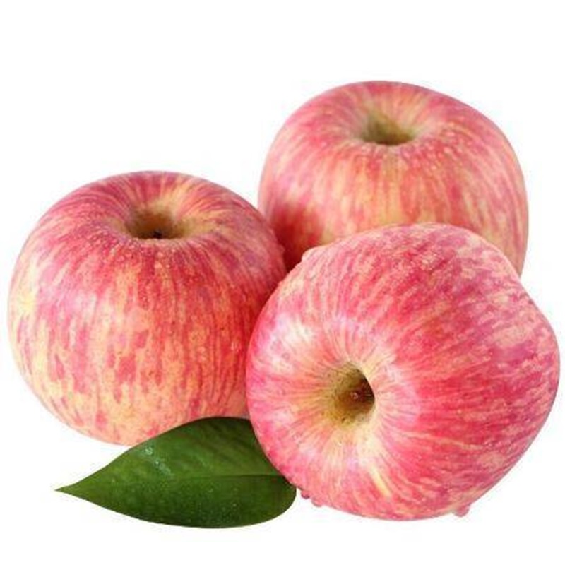 新疆阿克苏苹果中大果顺丰产地直发应当季生鲜丑甜红富士新鲜水果