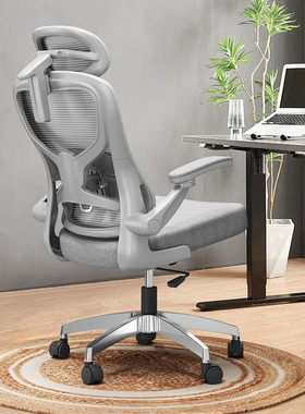 电脑椅人体工学椅家用舒适久坐办公椅宿舍学习椅子可升降靠背座椅