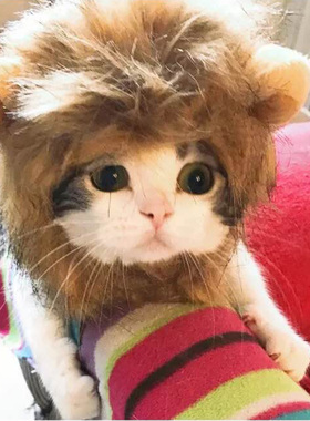 特价猫咪狮子头套搞笑宠物装扮耳朵帽子狗狗猫猫可爱搞笑头饰发饰