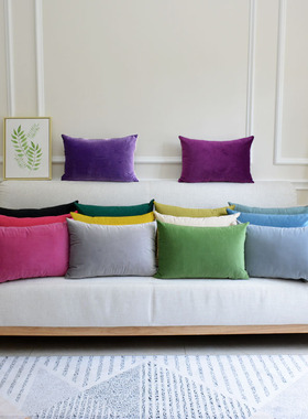 新款纯色天鹅绒抱枕靠垫欧式沙发长方形靠枕床头枕头大靠背套定制