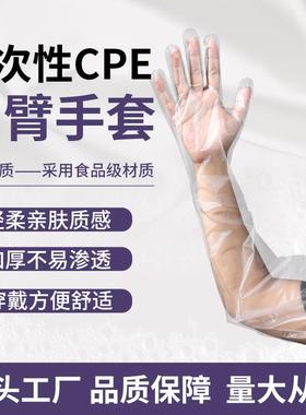 新款cpe护臂手套厨房用食品级加长一次性塑料手套松紧束口长