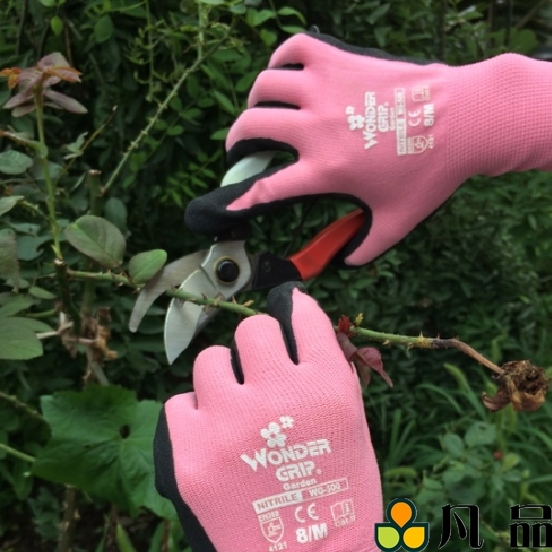 多给力WG-500G粉/紫园艺园林手套儿童防过敏家务割草施肥耐磨防滑