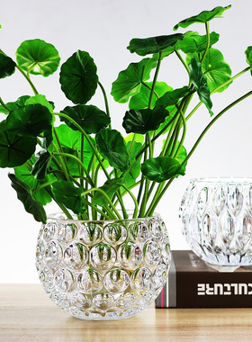 包邮 水晶圆形花瓶透明玻璃铜钱草花瓶摆件 创意家居水培花瓶花器