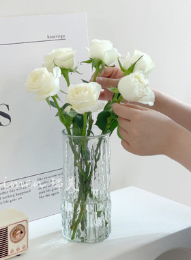 北欧ins风玻璃花瓶透明客厅餐厅水培植物鲜花插花摆件高级感简约