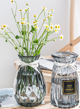 【两件套】北欧玻璃小花瓶透明彩色水培植物干花欧式客厅插花摆件