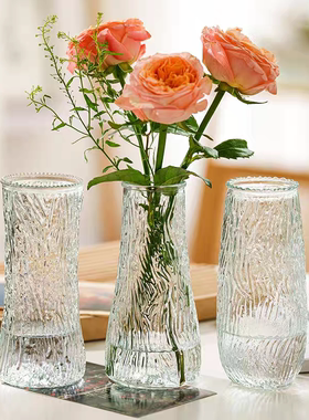 简约玻璃花瓶ins风北欧网红透明水养富贵竹鲜花客厅干花插花摆件