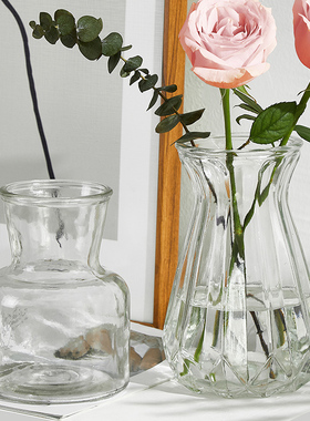 北欧ins风简约玻璃花瓶透明水养鲜花玫瑰插花瓶水培植物花器摆件