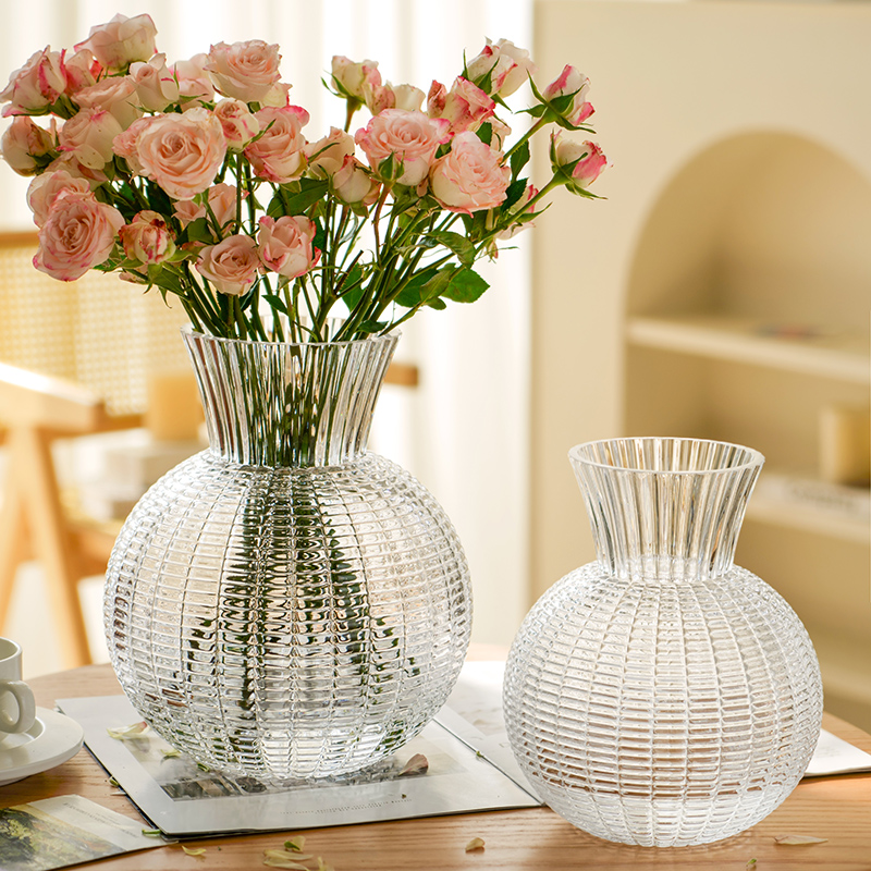出口轻奢高档高级感玻璃花瓶客厅鲜花透明插花水养水培ins风摆件