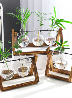 创意木架水培绿萝玻璃花瓶容器盆办公室内桌面绿植现代摆件装饰品