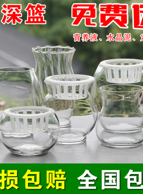 水培植物玻璃生态鱼缸绿萝花盆办公桌面加厚大号鱼缸透明器皿花瓶