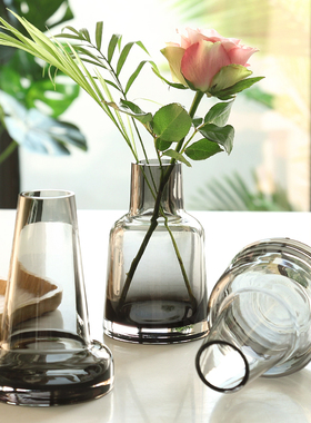 北欧ins简约玻璃花瓶水培绿萝鲜花创意香熏花瓶餐厅客厅插花摆件