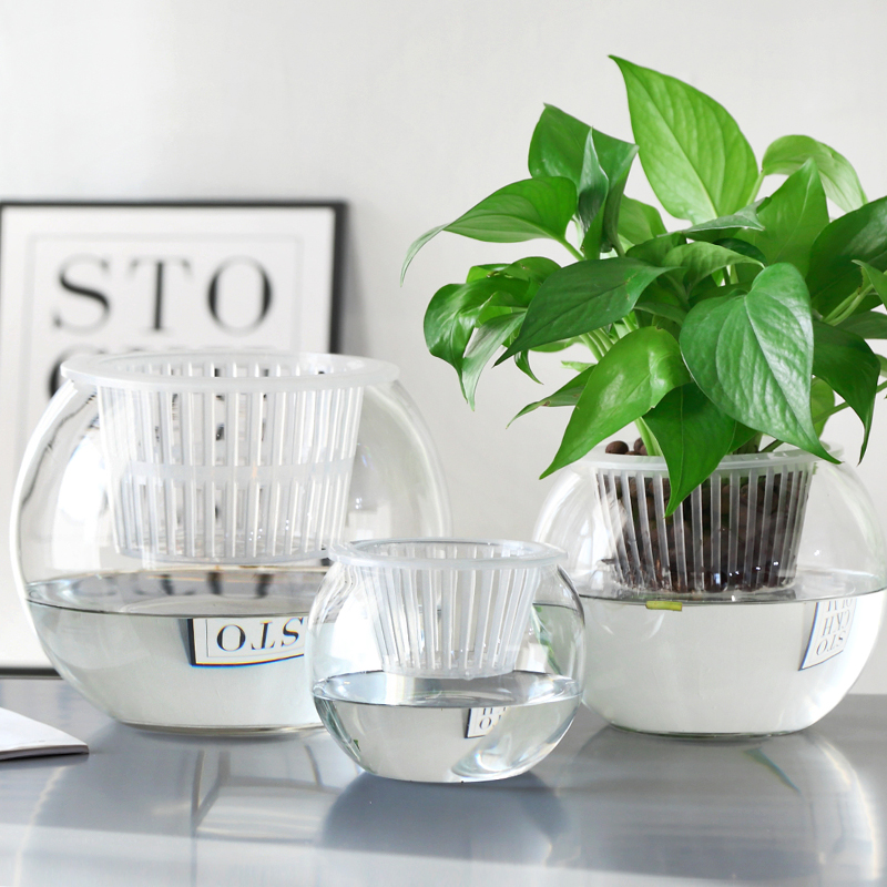 简约北欧水培绿萝植物玻璃花瓶透明容器水养装饰器皿客厅插花摆件