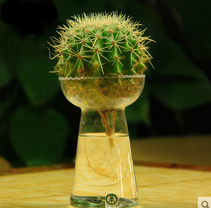 风信子水培火炬花边水塔透明玻璃器皿 绿萝仙人球花瓶 桌面花盆