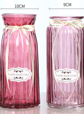 大号简约创意玻璃花瓶透明玫瑰富贵竹水培花瓶插花瓶客厅装饰摆件