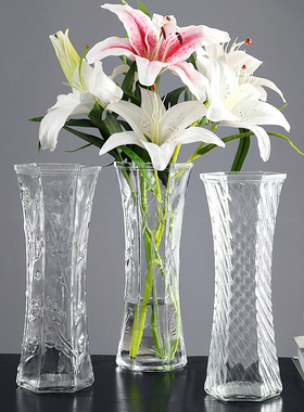 轻奢北欧大号水培玻璃花瓶高透明水养富贵竹百合干花插花摆件客厅
