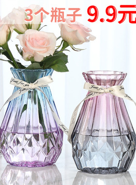 欧式创意玻璃花瓶透明水培绿萝植物玻璃花瓶家用插花客厅装饰摆件