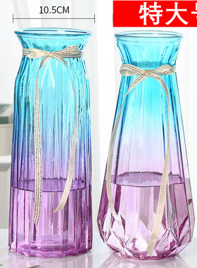 【特大号】欧式玻璃花瓶水培富贵竹百合透明玻璃花瓶客厅装饰摆件