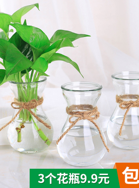 创意简约玻璃花瓶透明水培绿萝植物花瓶花盆风信子插花瓶客厅摆件