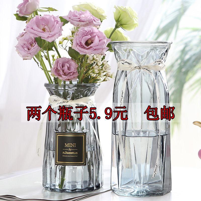 【两件套】北欧客厅花瓶摆件透明水养富贵竹百合干花插花玻璃花瓶