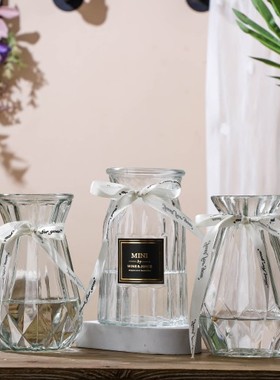 透明玻璃花瓶创意家用干花瓶客厅摆件客厅插花瓶水培百合