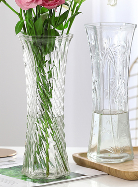 【两件套】特大号玻璃花瓶透明水养富贵竹花瓶客厅家用插花瓶摆件