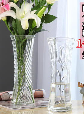 大号玻璃花瓶透明水培百合富贵竹花瓶客厅家用水养鲜花插花瓶摆件