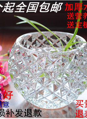 室内简约水晶玻璃花瓶透明绿萝水培花盆水养植物器皿仿真花插花瓶