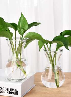 玻璃花瓶透明风信子种球 花盆客厅室内鱼缸圆形水培水养植物器皿