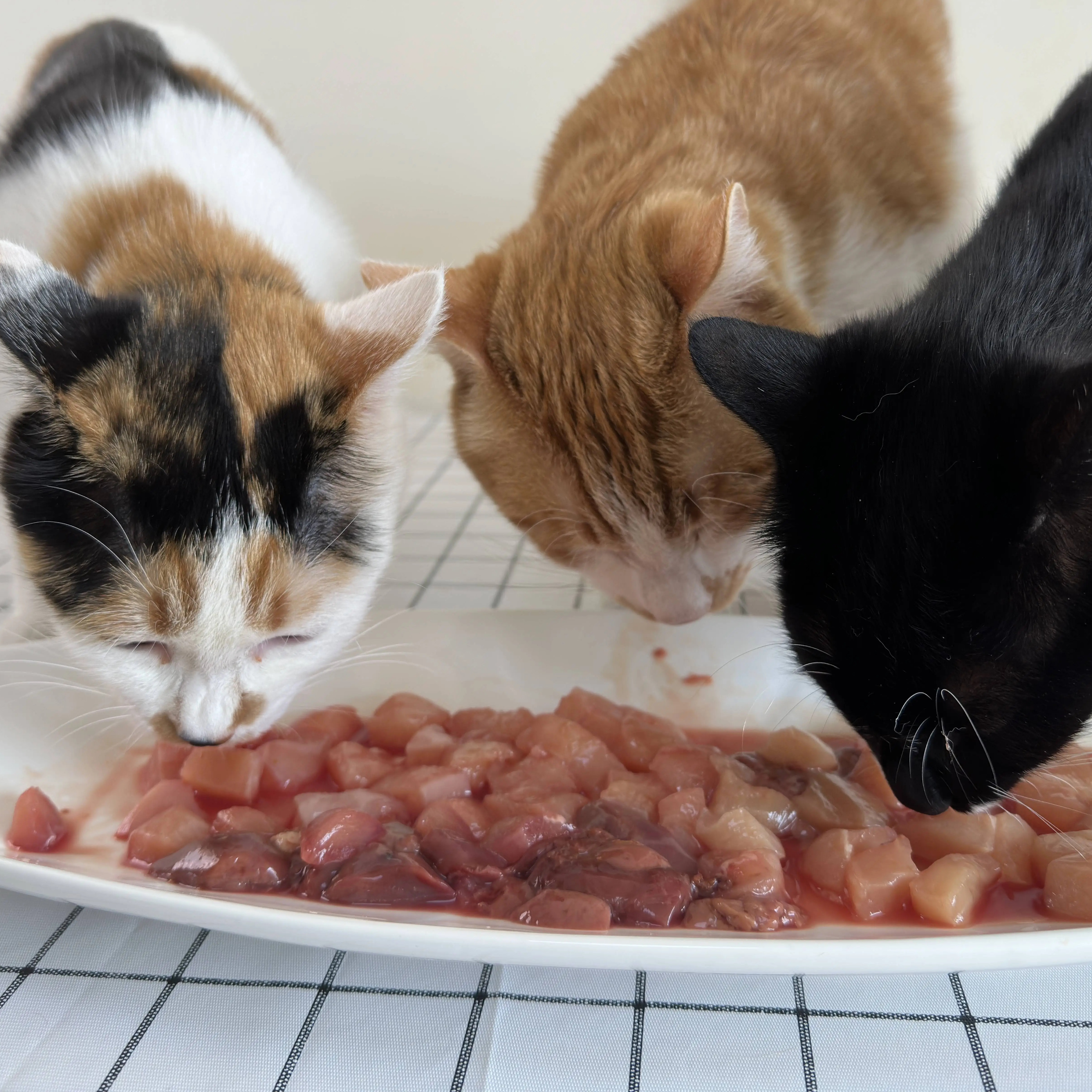 丁之喵饭喵星堡猫咪生鸡肉零食包帮助补水改善健康状况生骨肉营养