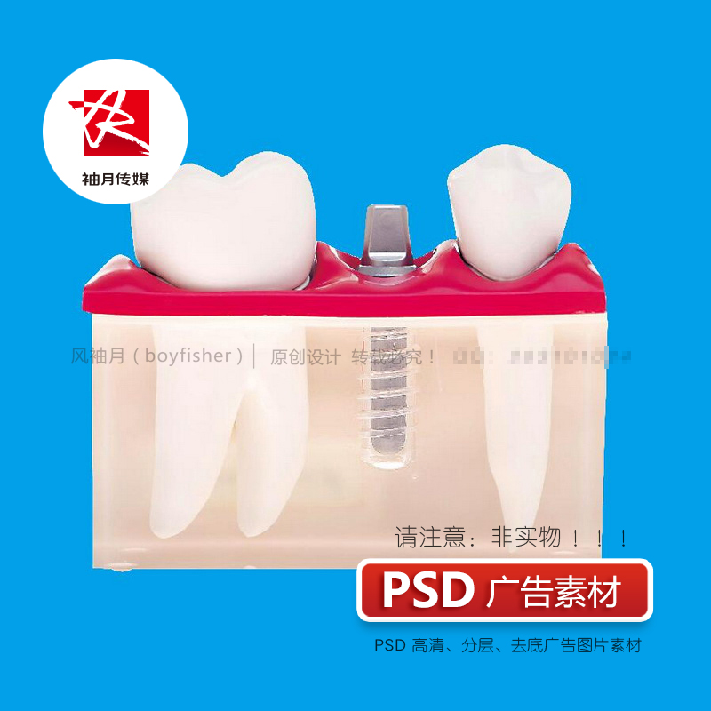 牙齿矫正种植牙PSD高清去底免抠图素材医疗口腔美容保健PS图片