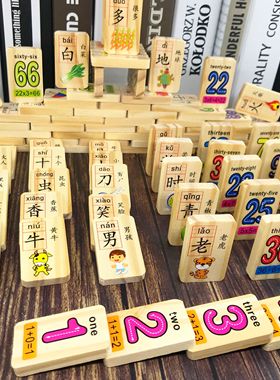 100粒木质多米诺骨牌宝宝认识动物汉字数字拼搭积木儿童益智玩具